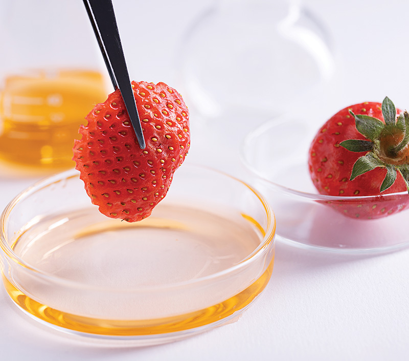 closeup shot of tweezers holding a strawberry piece