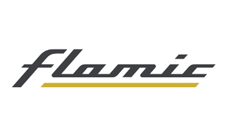 logo flamic