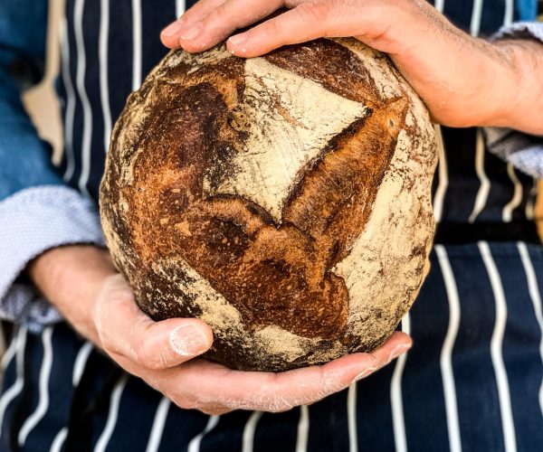 a-man-in-stripped-apron-is-holding-freshly-baked-s-2024-12-07-15-28-30-utc